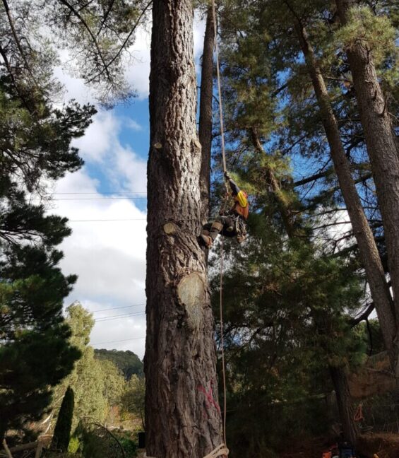 climber-1.jpg climber-1.jpg