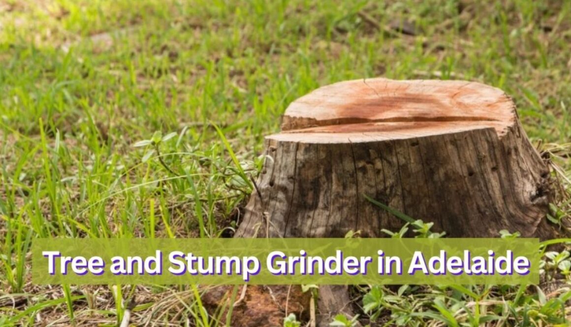 Tree and Stump Grinder in Adelaide